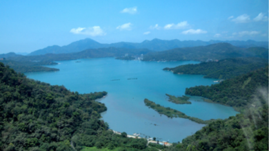 臺灣深度七日遊探索自然美景與地道美食